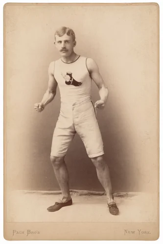 Evert Jansen Wendell by Pach Bros, photograph, 1880-1889