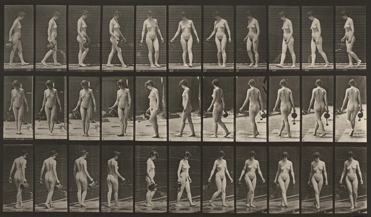 Plate Number 51. Walking, turning around and using a sprinkling pot by Eadweard Muybridge, photograph, 1887