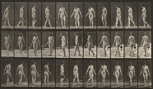 Plate Number 51. Walking, turning around and using a sprinkling pot by Eadweard Muybridge, photograph, 1887