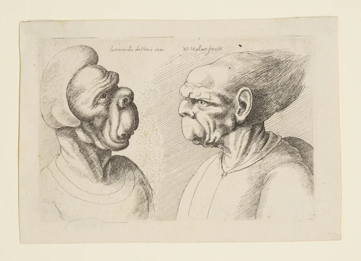 Two Deformed Heads with Very Long Upper Lips by Wenceslaus Hollar, print, 1645