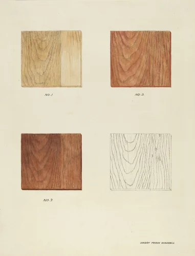 Wood Grain (Demo.) by Harry Mann Waddell, index of american design, 1935-1942