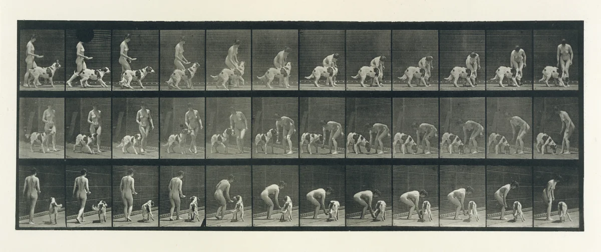 Animal Locomotion. An Electro-Photographic Investigation of Consecutive Phases of Animal Movements. Commenced 1872 - Completed 1885. Volume IV, Women (Nude) by Eadweard Muybridge, book, 1880-1889