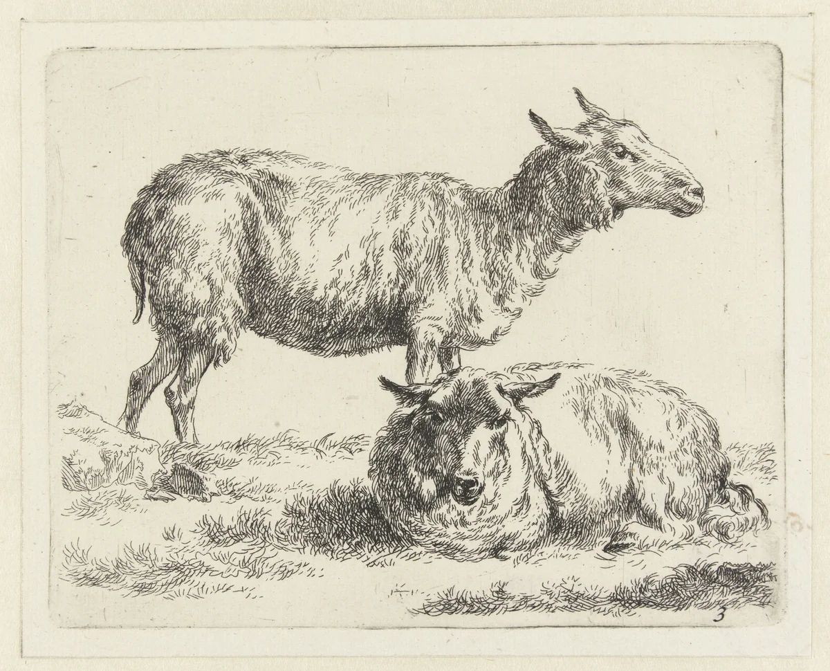 Staand en liggend schaap by Nicolaes Pietersz Berchem, print, 1648-1652