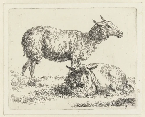 Staand en liggend schaap by Nicolaes Pietersz Berchem, print, 1648-1652