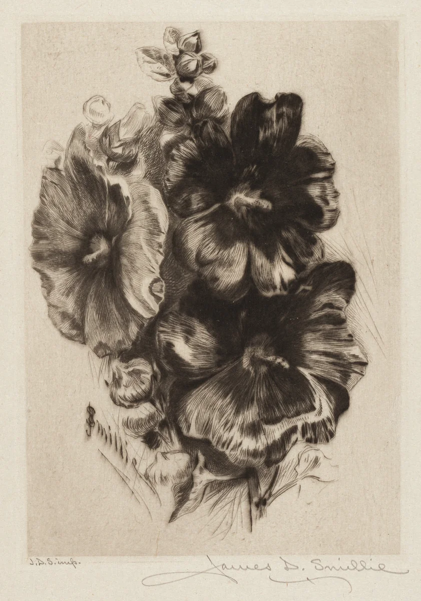 Dark Single Hollyhocks by James David Smillie, print, 1890