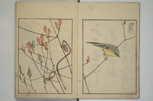 Suiseki Picture Album (Suiseki gafu nihen), Second Series 水石画譜 二編 by Satō Suiseki (佐藤水石), book, 1820