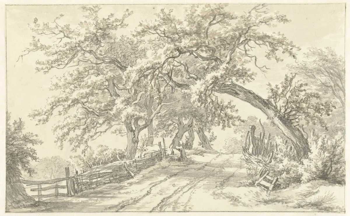 Bomen langs weg bij Broekhuizen in Drenthe by Egbert van Drielst, drawing, 1755-1818
