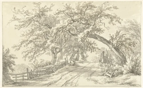 Bomen langs weg bij Broekhuizen in Drenthe by Egbert van Drielst, drawing, 1755-1818