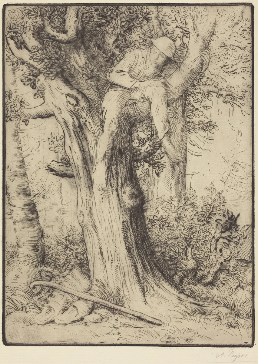 Landscape with a Boy in a Tree (Paysage avec un garcon grimpe sur un arbre, dite "Le denicheur d'oiseaux") by Alphonse Legros, print, 1837-1911
