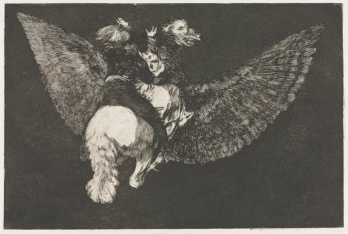 The Proverbs: Flying Folly by Francisco de Goya, print, 1864