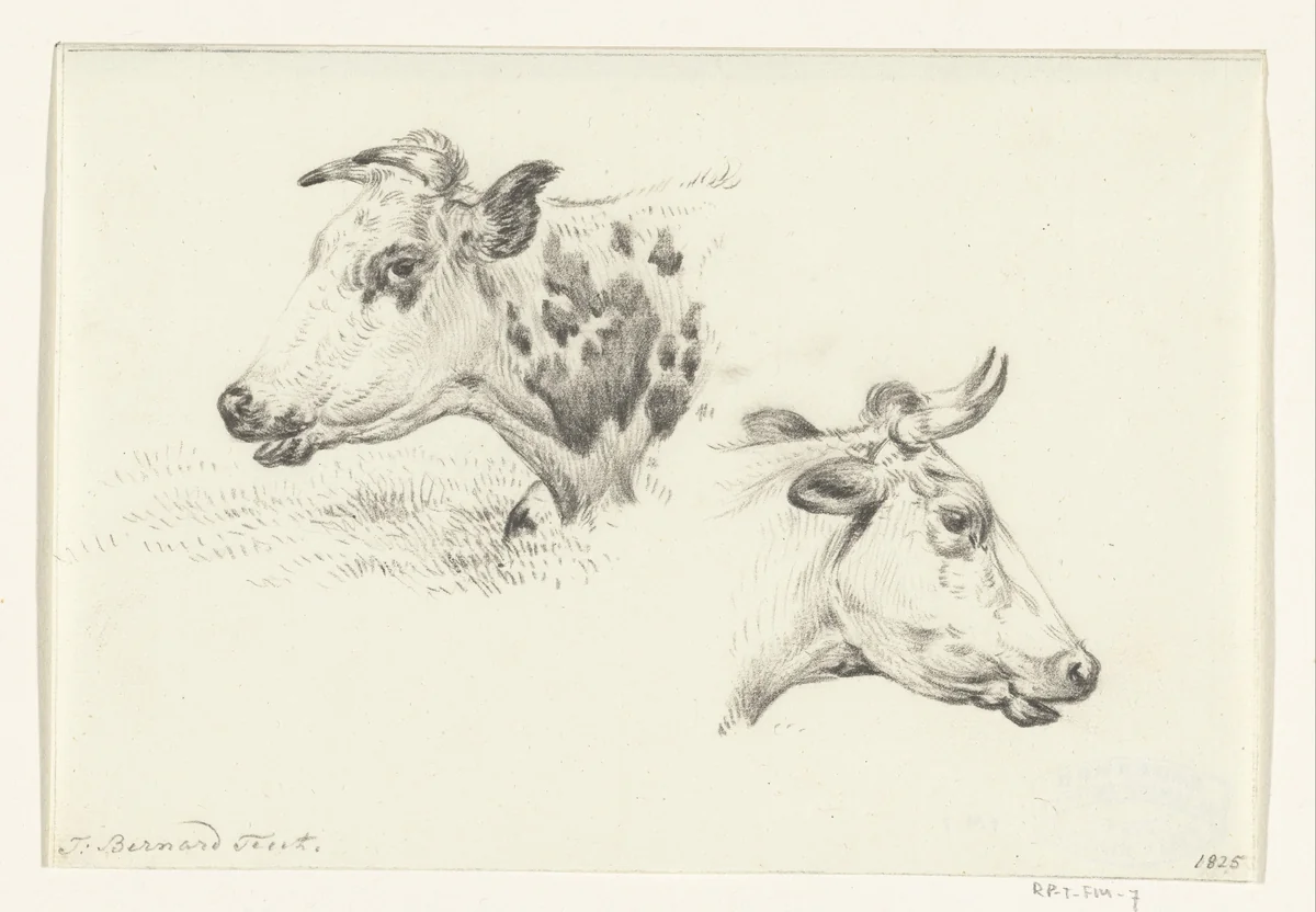 Twee studies van de kop van een koe by Jean Bernard, drawing, 1825