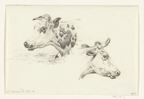 Twee studies van de kop van een koe by Jean Bernard, drawing, 1825
