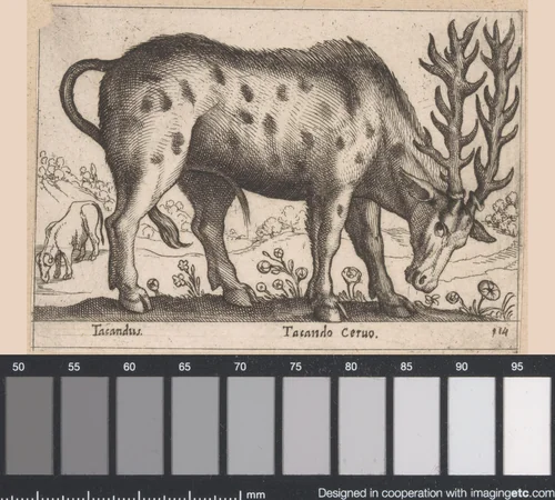 Hert by Antonio Tempesta, print, 1565-1630