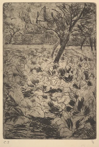 The Cabbage Field by Camille Pissarro, print, 1875-1885