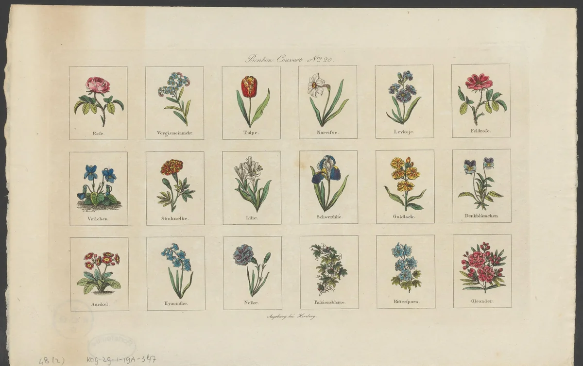 Achttien verschillende bloemen by anonymous, print, 1801-1855