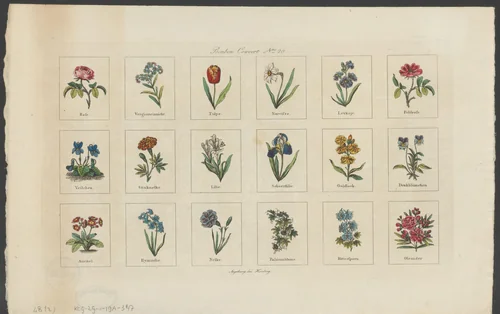 Achttien verschillende bloemen by anonymous, print, 1801-1855