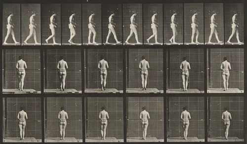 Plate Number 21. Walking, both elbows bent by Eadweard Muybridge, photograph, 1887
