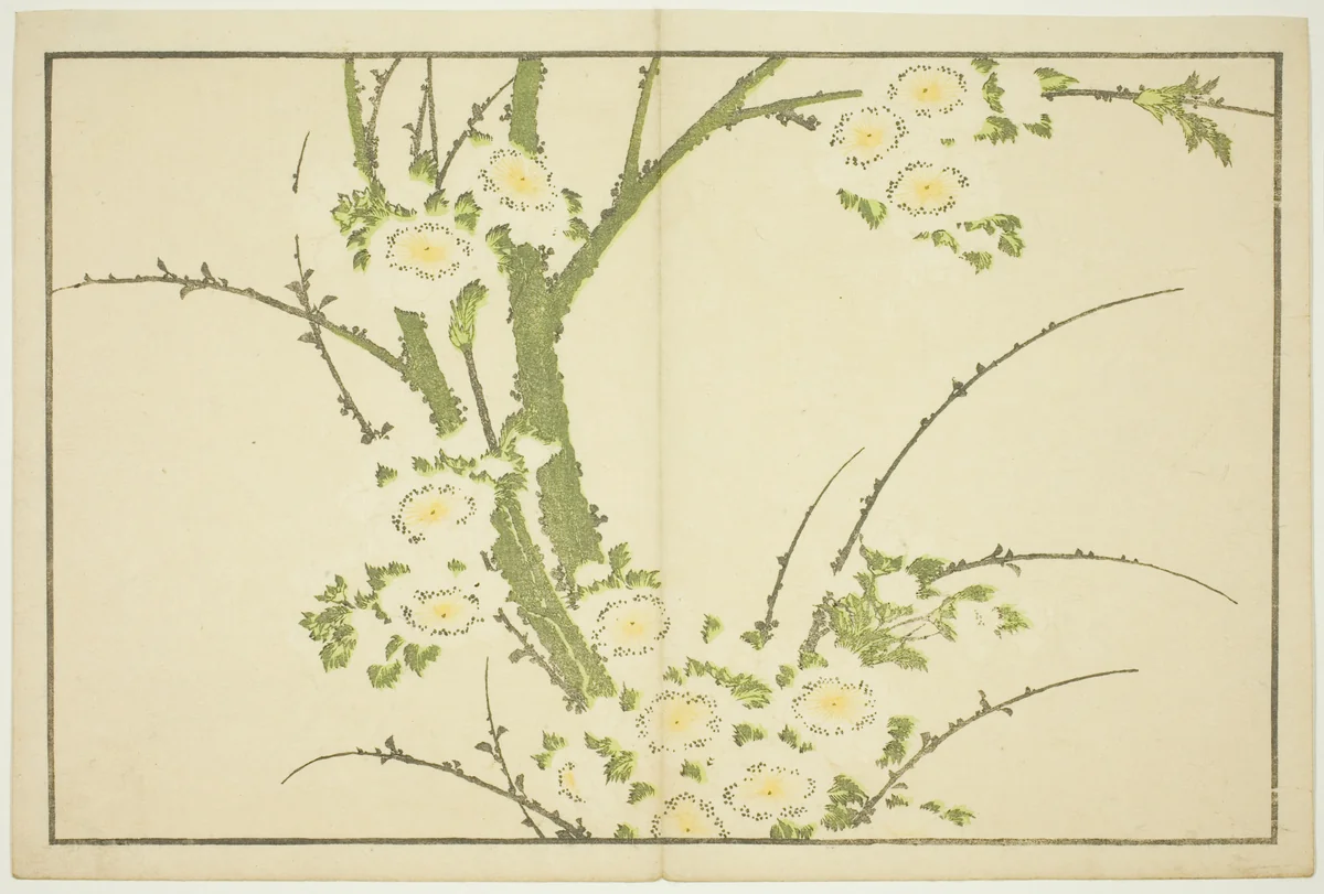 Flowers, from The Picture Book of Realistic Paintings of Hokusai (Hokusai shashin gafu) by Katsushika Hokusai (葛飾 北斎), print, 1809-1819
