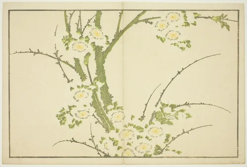Flowers, from The Picture Book of Realistic Paintings of Hokusai (Hokusai shashin gafu) by Katsushika Hokusai (葛飾 北斎), print, 1809-1819
