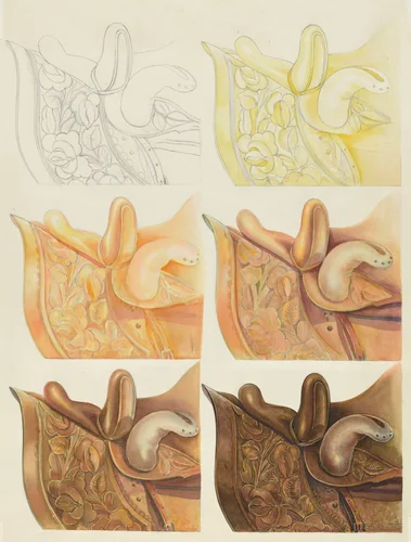 Saddle (Technique Demonstration) by Gerald Transpota, index of american design, 1935-1942