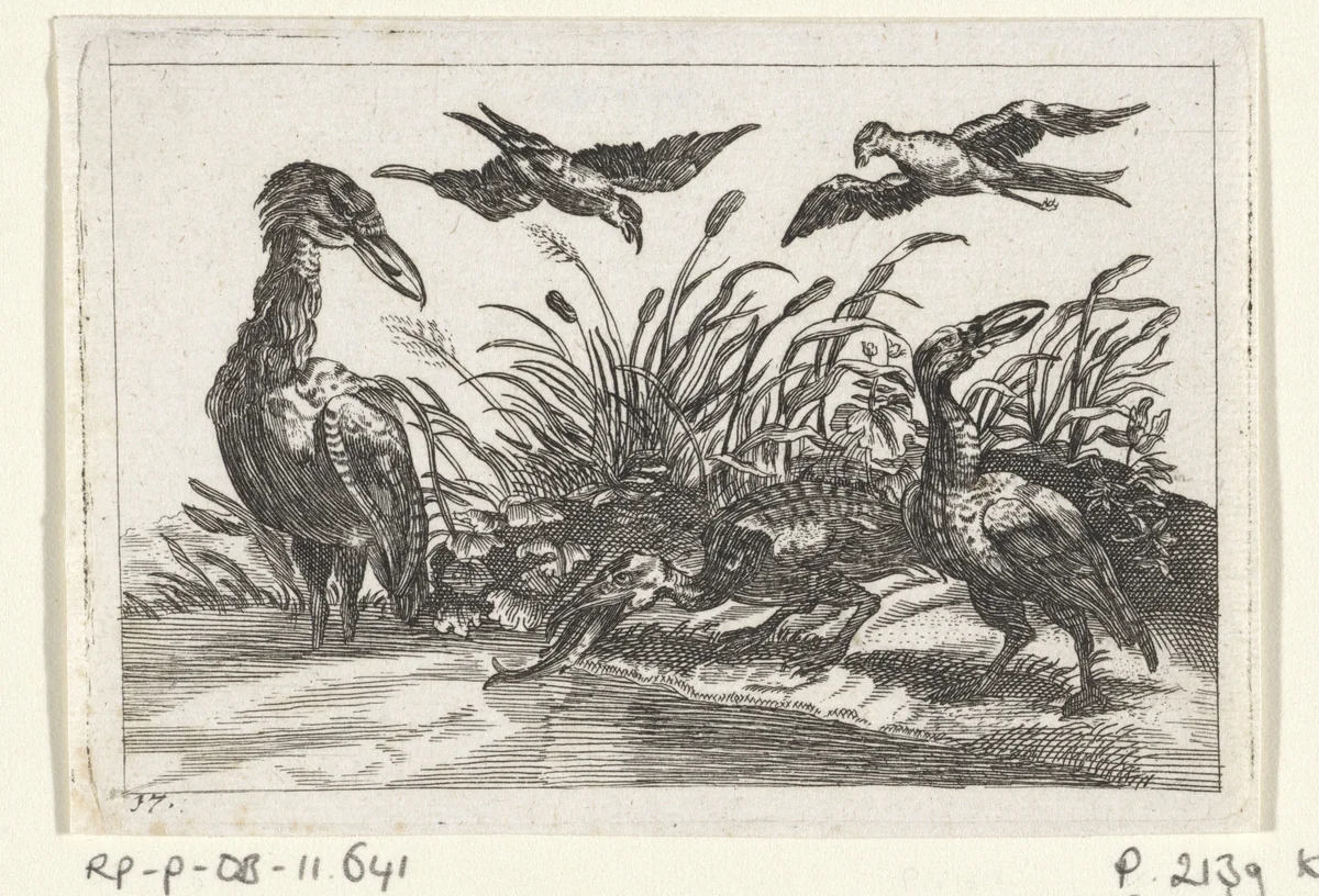 Reigers en zwaluwen by anonymous, print, 1654-1712