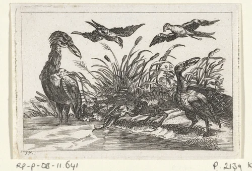 Reigers en zwaluwen by anonymous, print, 1654-1712