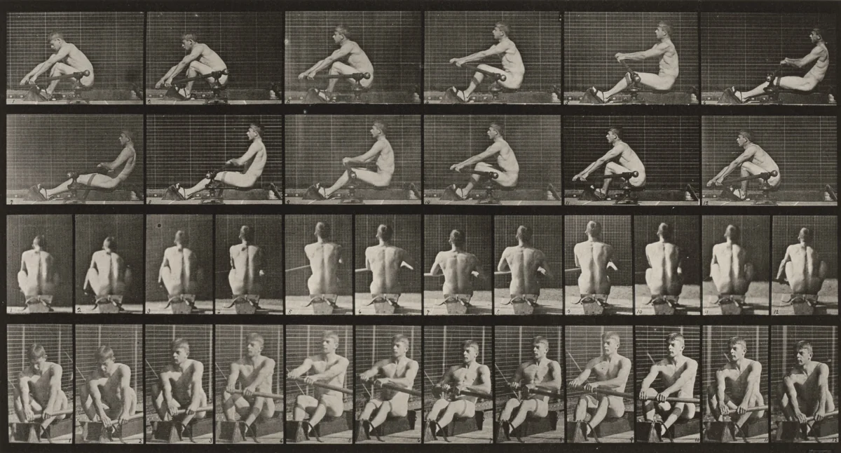 Plate Number 327. Rowing by Eadweard Muybridge, photograph, 1887