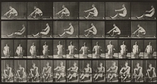 Plate Number 327. Rowing by Eadweard Muybridge, photograph, 1887