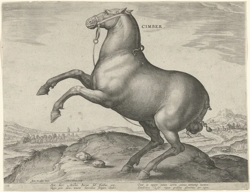 Paard uit Scythië by Unknown, print, 1583-1587