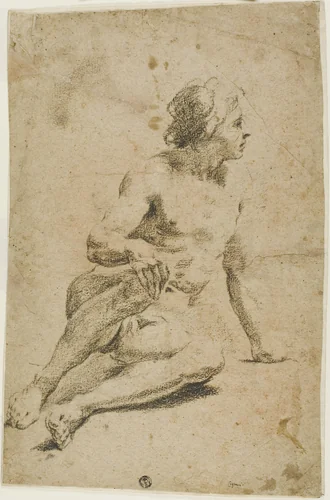 Seated Male Nude by Carlo Cignani, drawing, 1648-1719