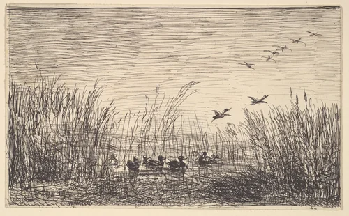 Ducks in the Marshes by Charles-François Daubigny, print, 1862-1921