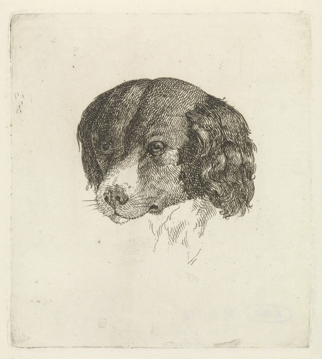 Kop van een hond by Johannes Christiaan d'Arnaud Gerkens, print, 1833-1892