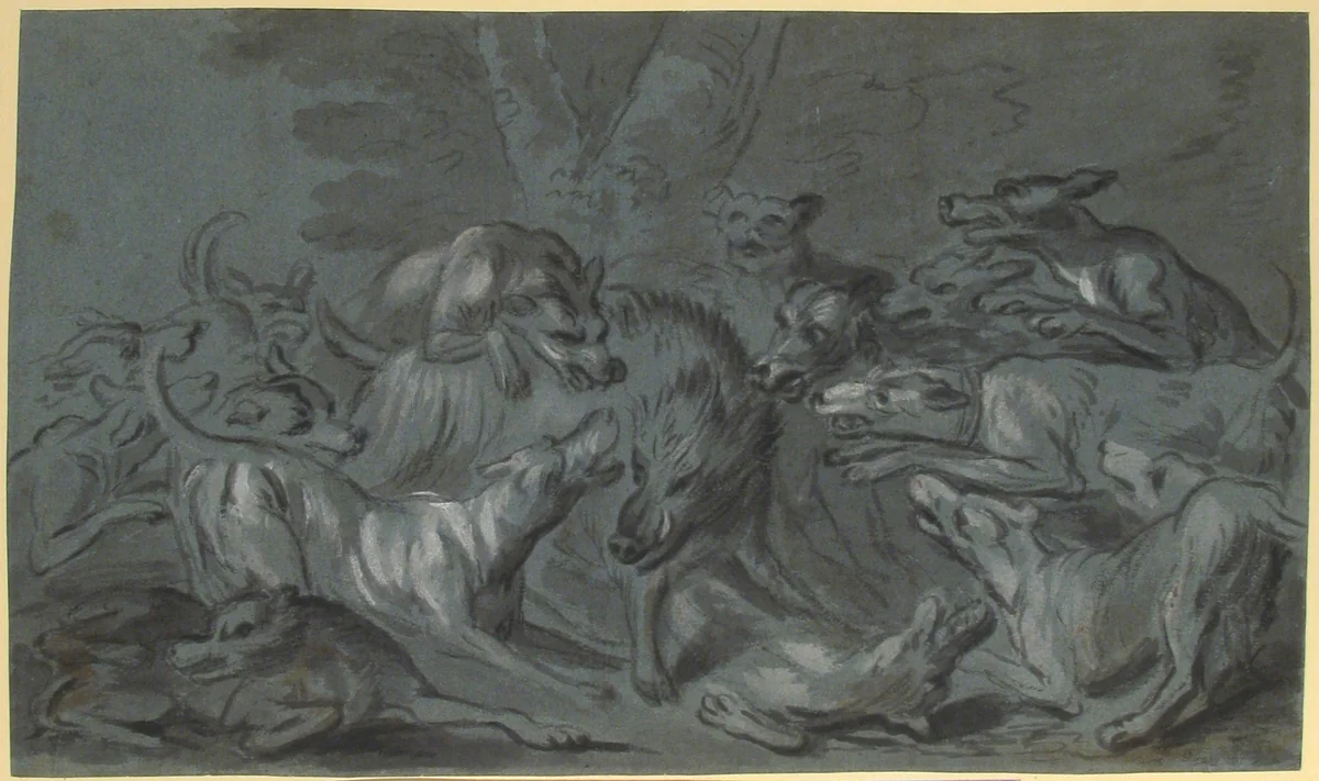 Pack of Dogs Attacking a Wild Boar by Jean-Baptiste Oudry, drawing, 1695-1775