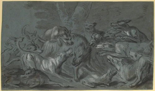 Pack of Dogs Attacking a Wild Boar by Jean-Baptiste Oudry, drawing, 1695-1775