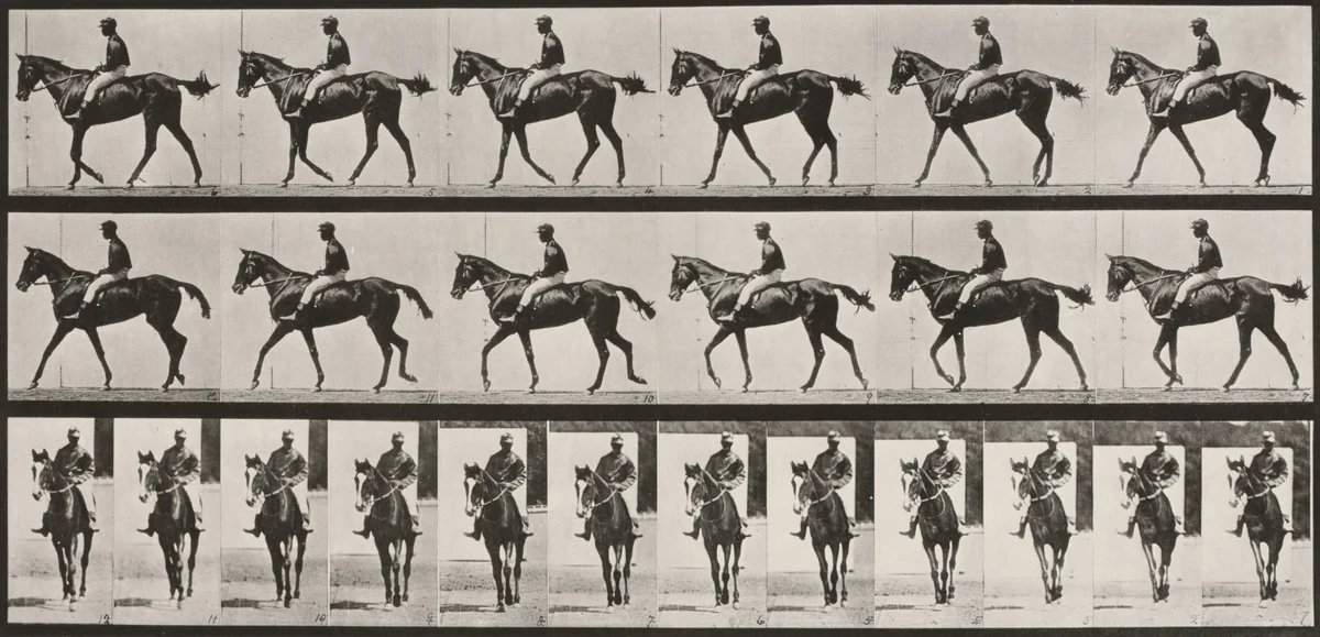 Plate Number 580. " Annie G." walking, saddled by Eadweard Muybridge, photograph, 1887