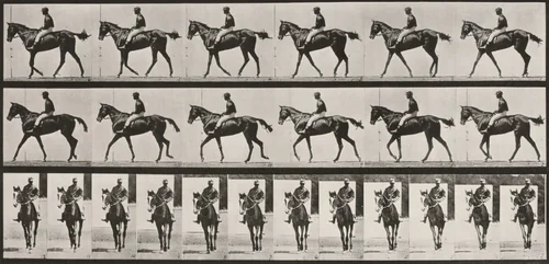 Plate Number 580. " Annie G." walking, saddled by Eadweard Muybridge, photograph, 1887