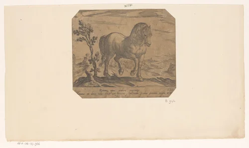 Staand paard naar rechts gewend by Unknown, print, 1590