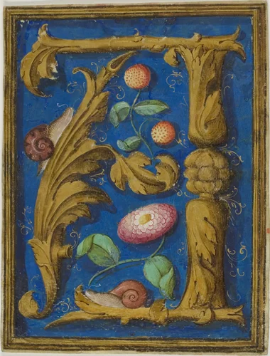 Snails, Strawberries and a Flower in a Decorated Initial "A" from a Manuscript by European, painting, 1500-1799
