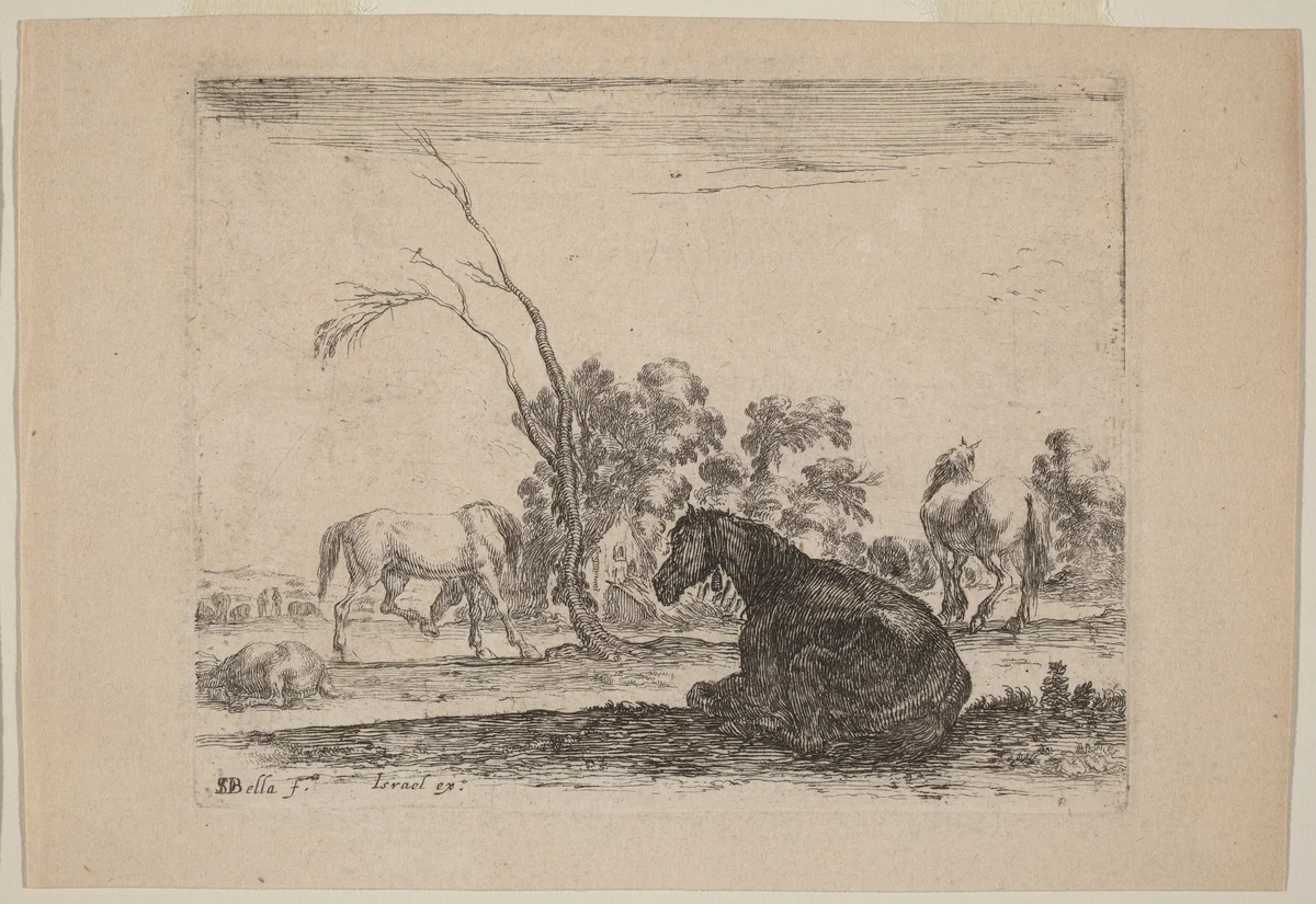 Horses in a Pasture by Stefano della Bella, print, 1642