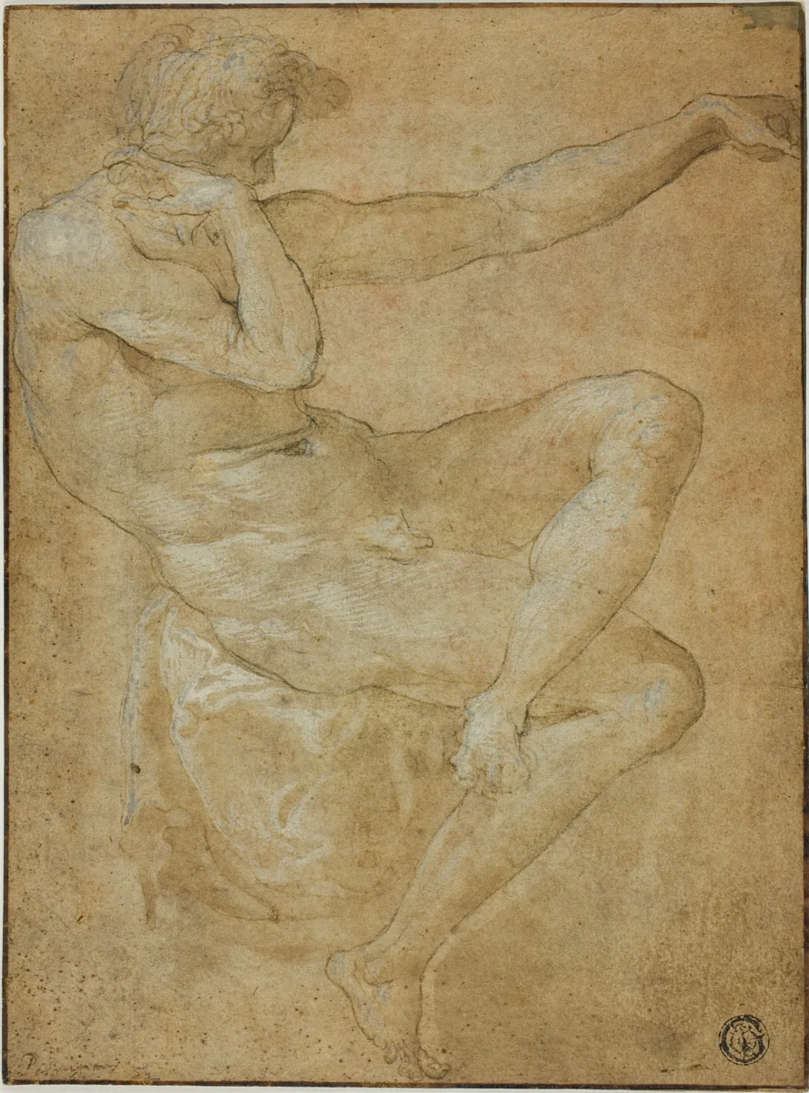 Seated Male Nude with Outstretched Left Arm by Domenico Beccafumi, drawing, 1580-1599