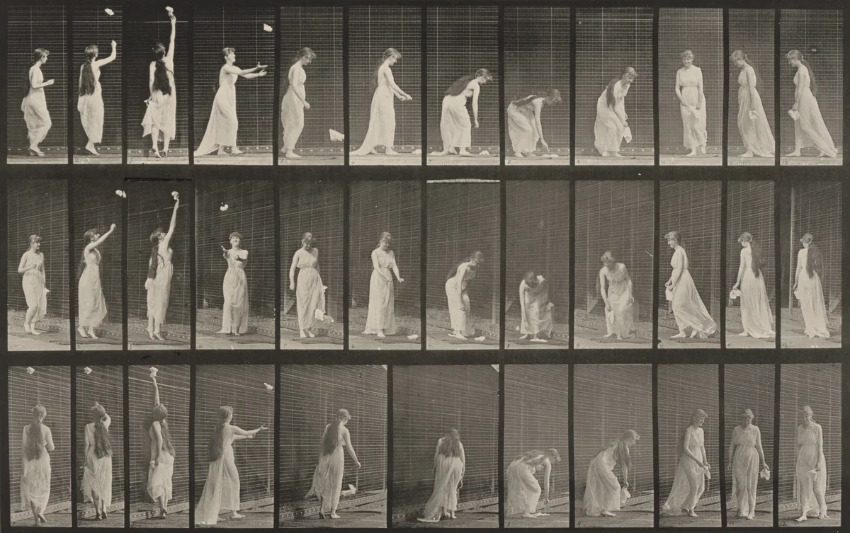 Plate Number 463. Reaching up, stooping and turning around by Eadweard Muybridge, photograph, 1887