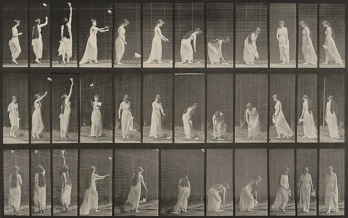 Plate Number 463. Reaching up, stooping and turning around by Eadweard Muybridge, photograph, 1887