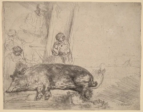 The Hog by Rembrandt van Rijn, print, 1643