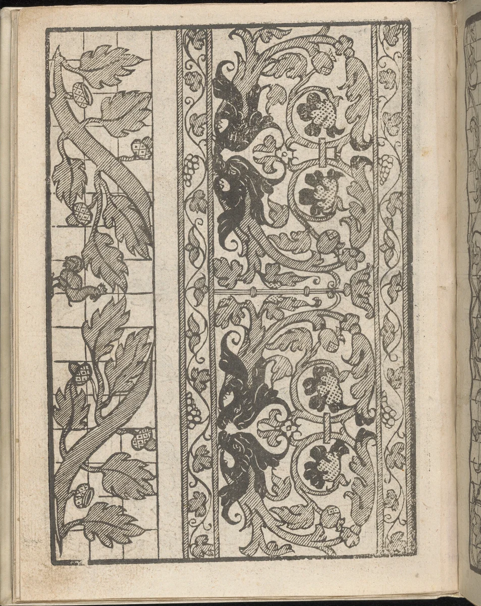 Lucidario di Recami, page 11 (verso) by Iseppo Foresto, book, 1564