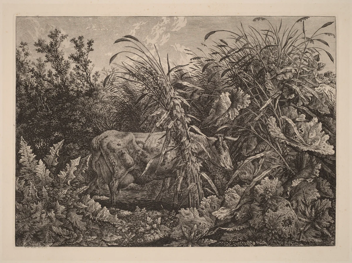The Cow in the Swamp by Carl Wilhelm Kolbe, print, 1800-1803