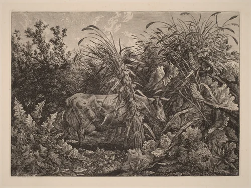 The Cow in the Swamp by Carl Wilhelm Kolbe, print, 1800-1803