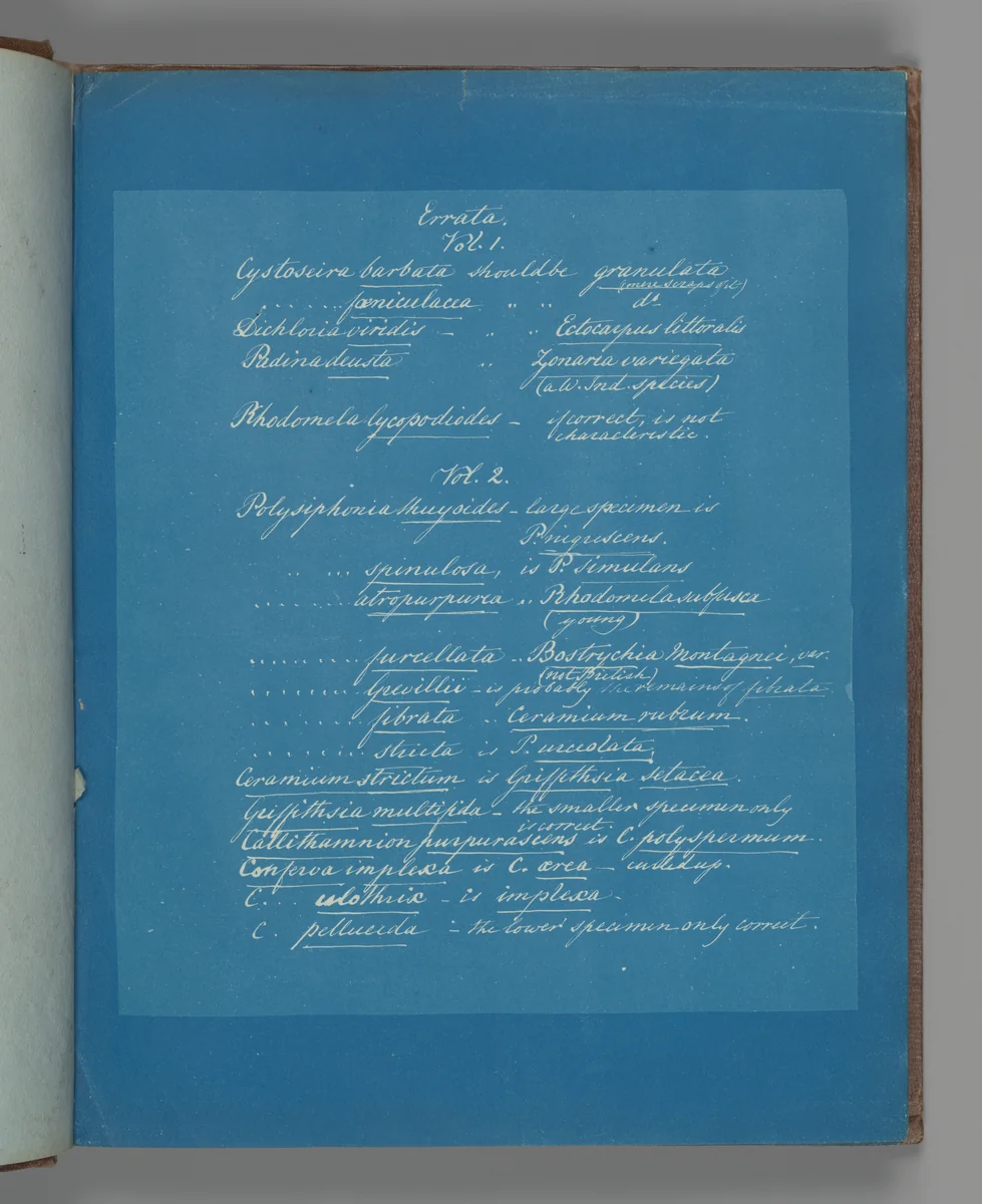 Errata by Anna Atkins, photograph, 1851-1855