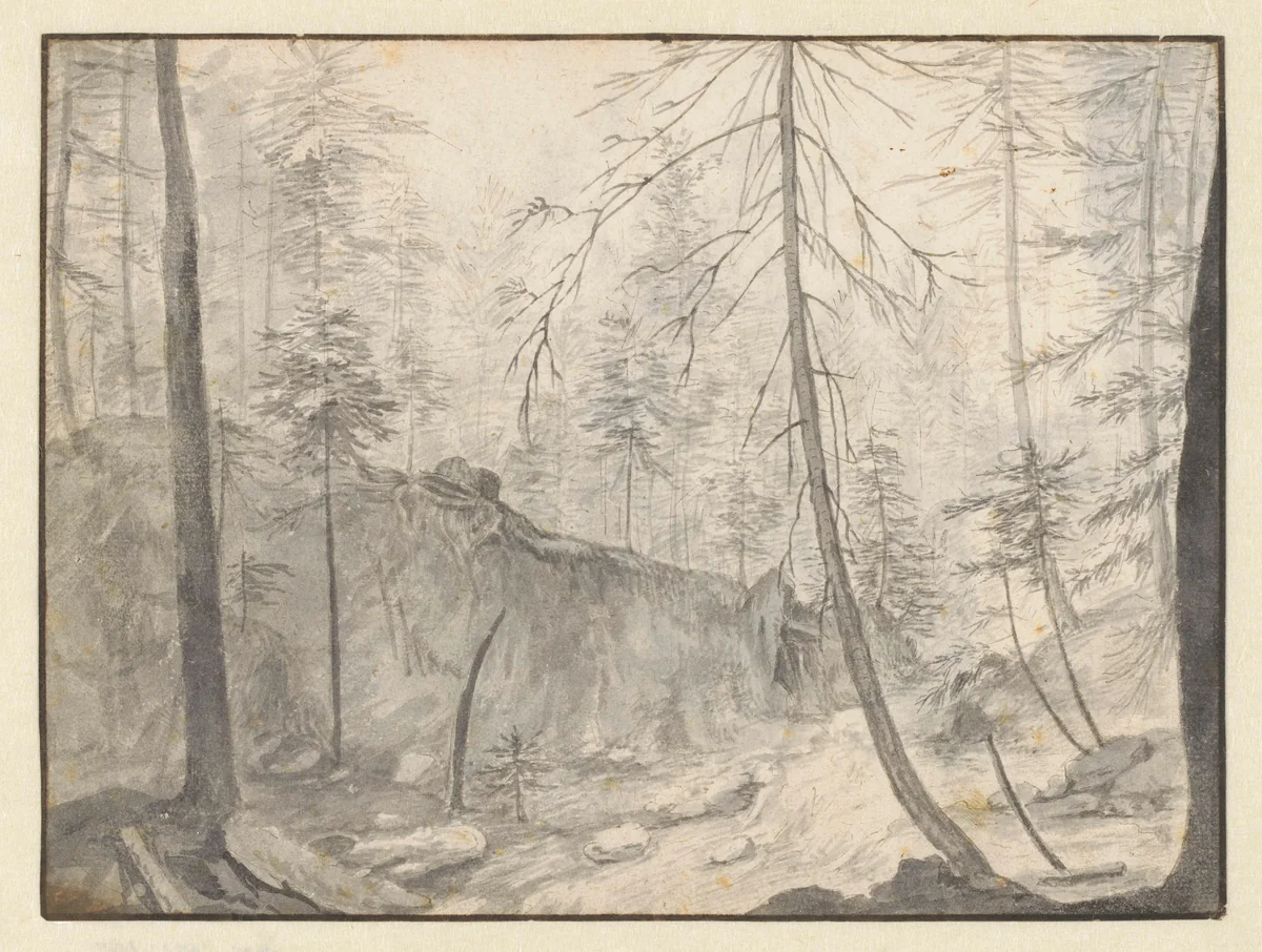 Sunken Path through an Evergreen Forest by Paulus Willemsz. van Vianen, drawing, 1603