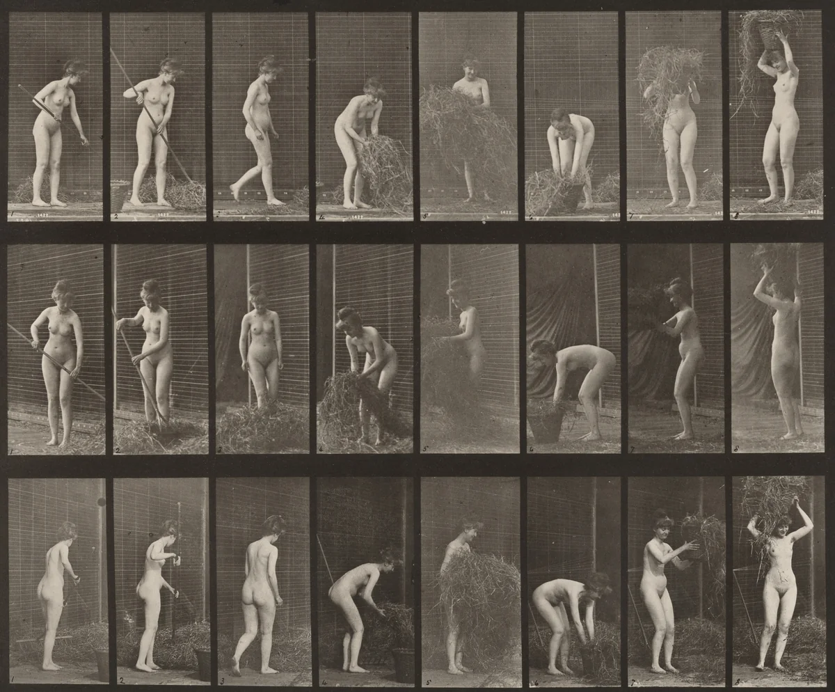 Plate Number 499. Raking and packing hay by Eadweard Muybridge, photograph, 1887
