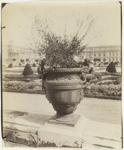 Versailles, Vase par Ballin by Jean-Eugène-Auguste Atget, photograph, 1902